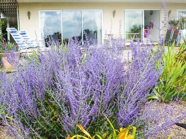 Photo of Others in Byford