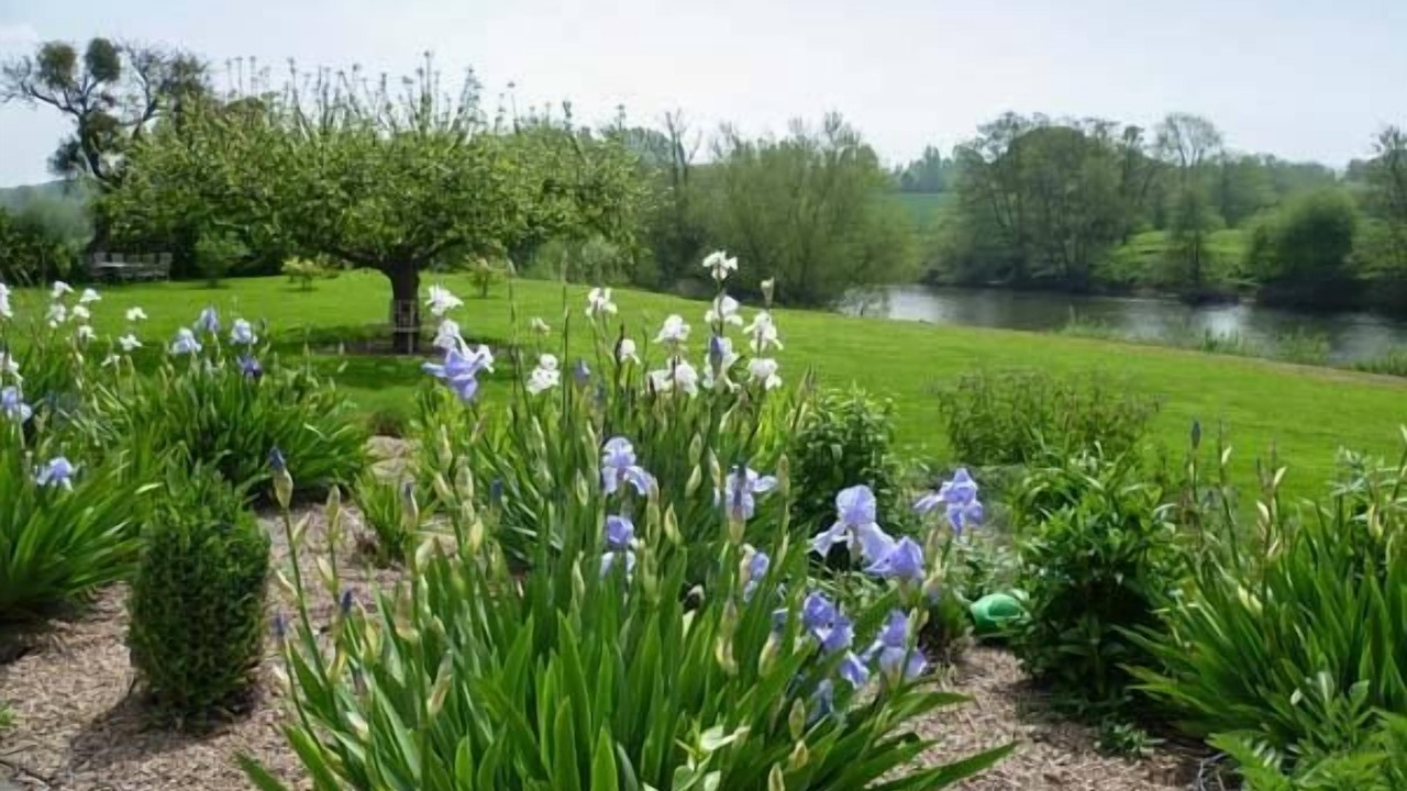 Photo of Others in Byford