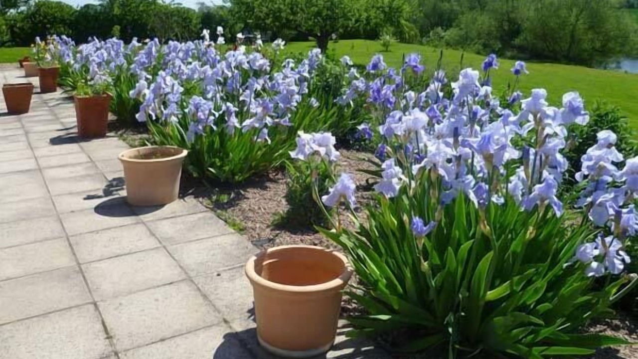 Photo of Others in Byford