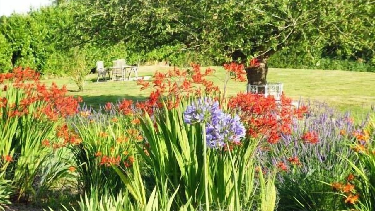 Photo of Others in Byford