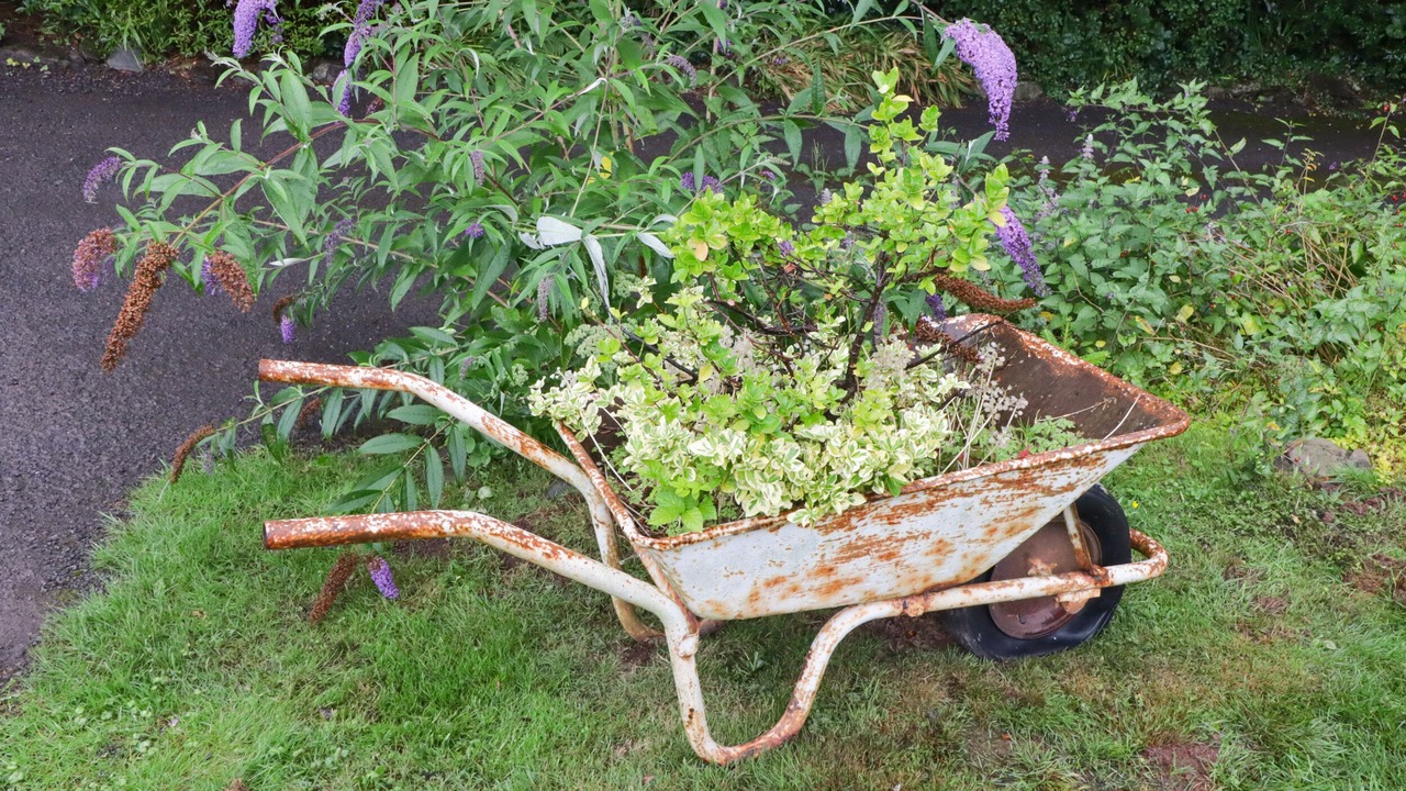 Photo of Others in Brecon