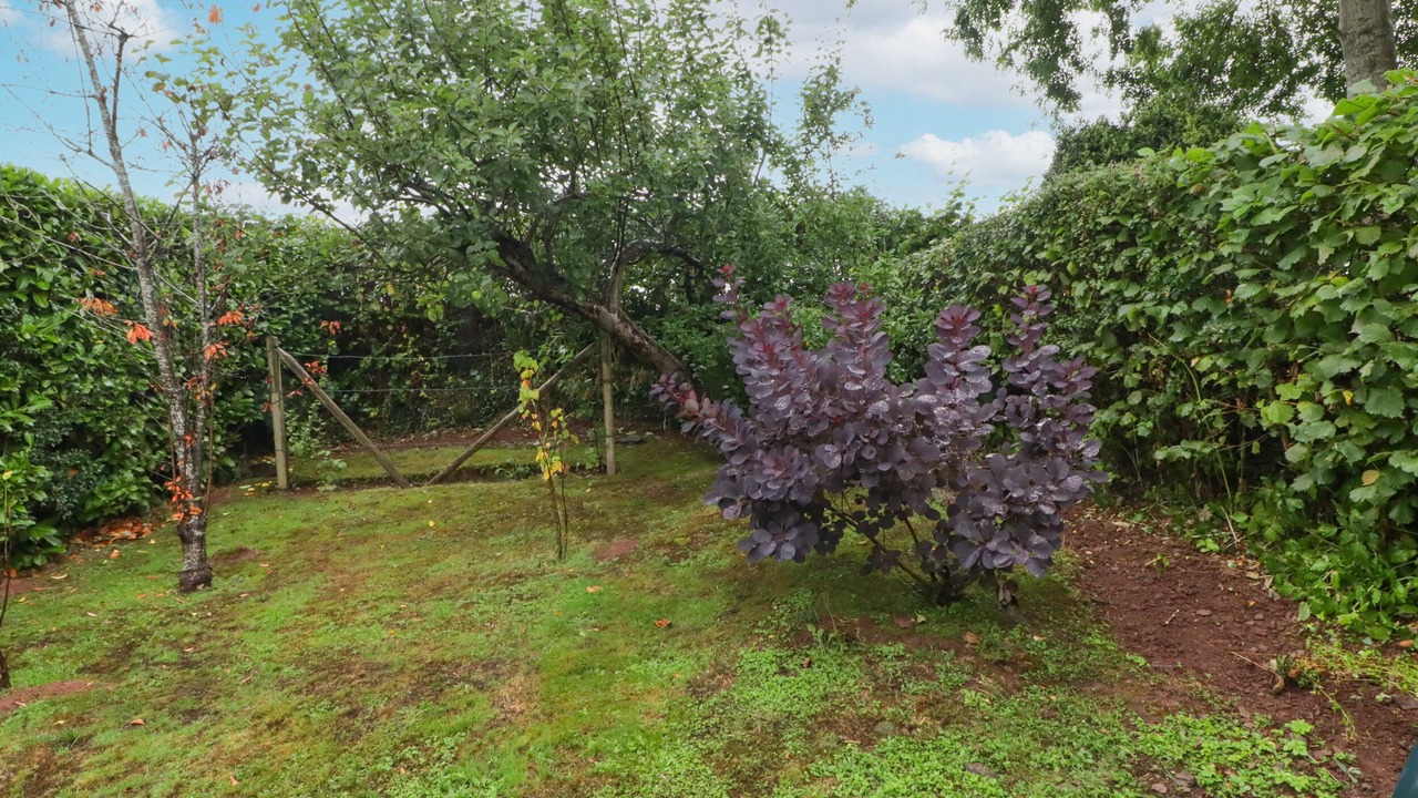 Photo of Others in Brecon