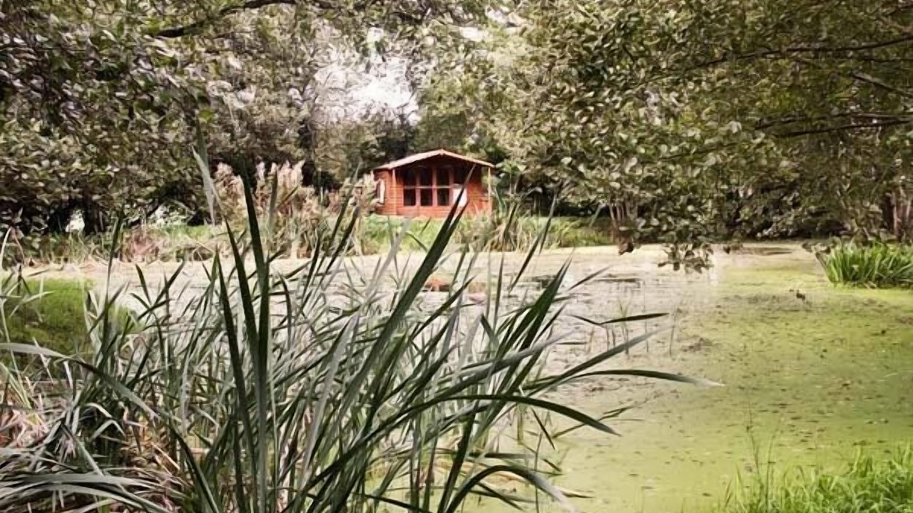 Photo of Others in Uffculme