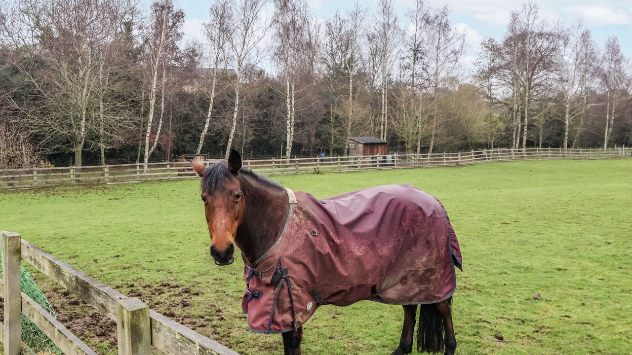 Photo of Others in Ripley