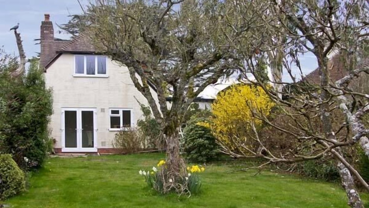 Photo of Buildings in New Forest District
