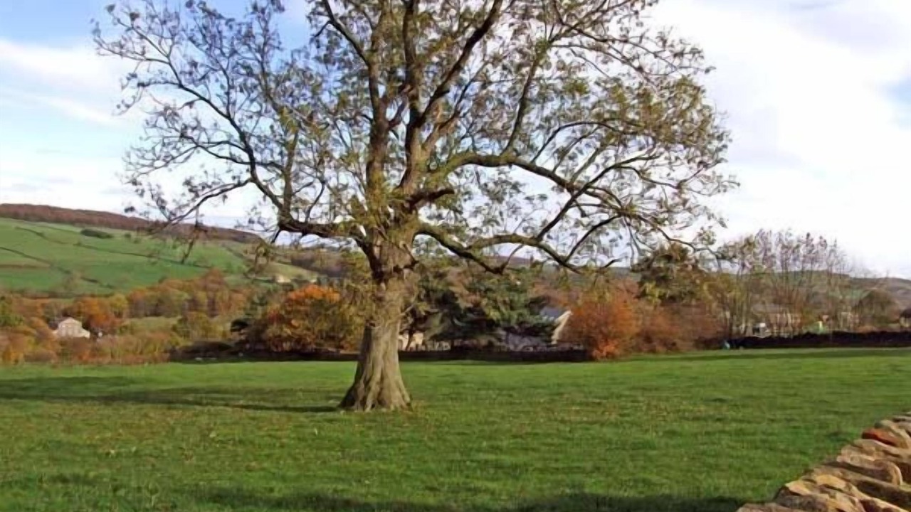 Photo of Others in Midhopestones