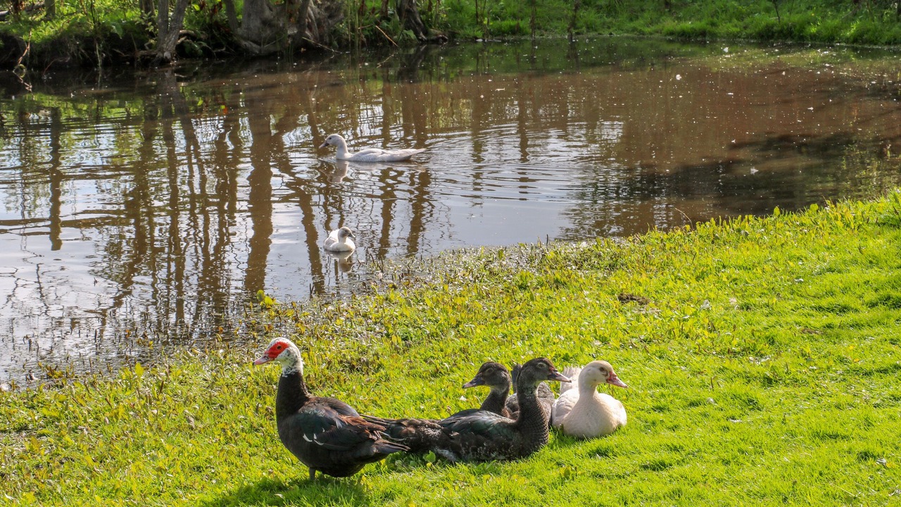 Photo of Others in Sandbach