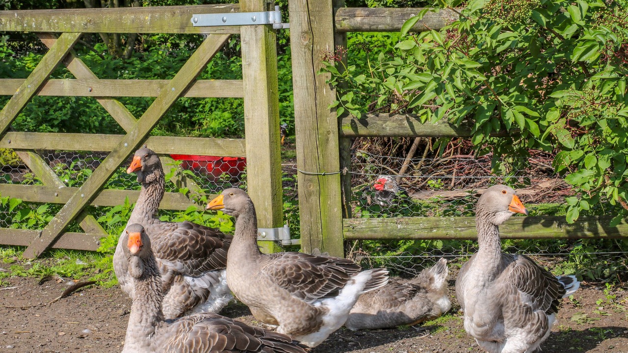 Photo of Others in Sandbach