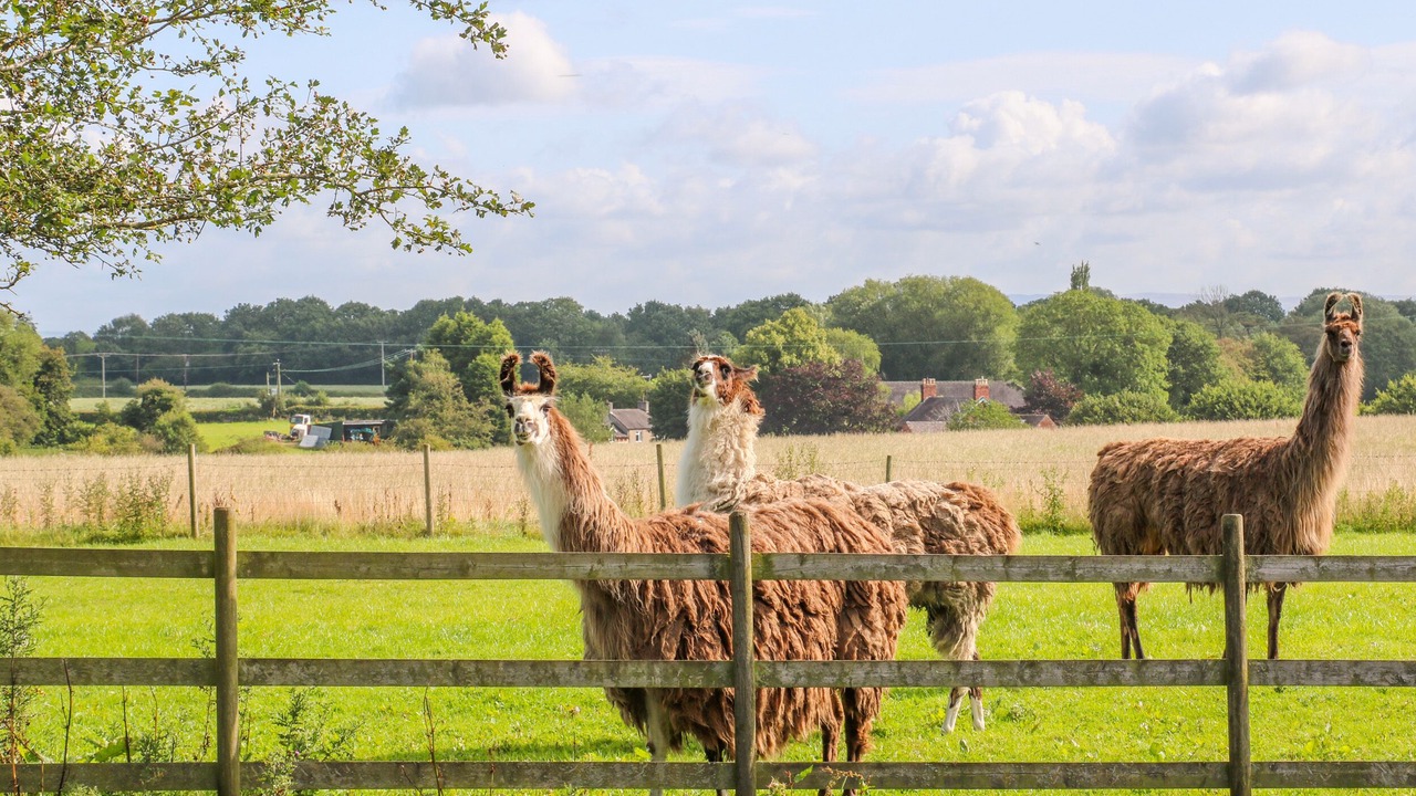 Photo of Others in Sandbach