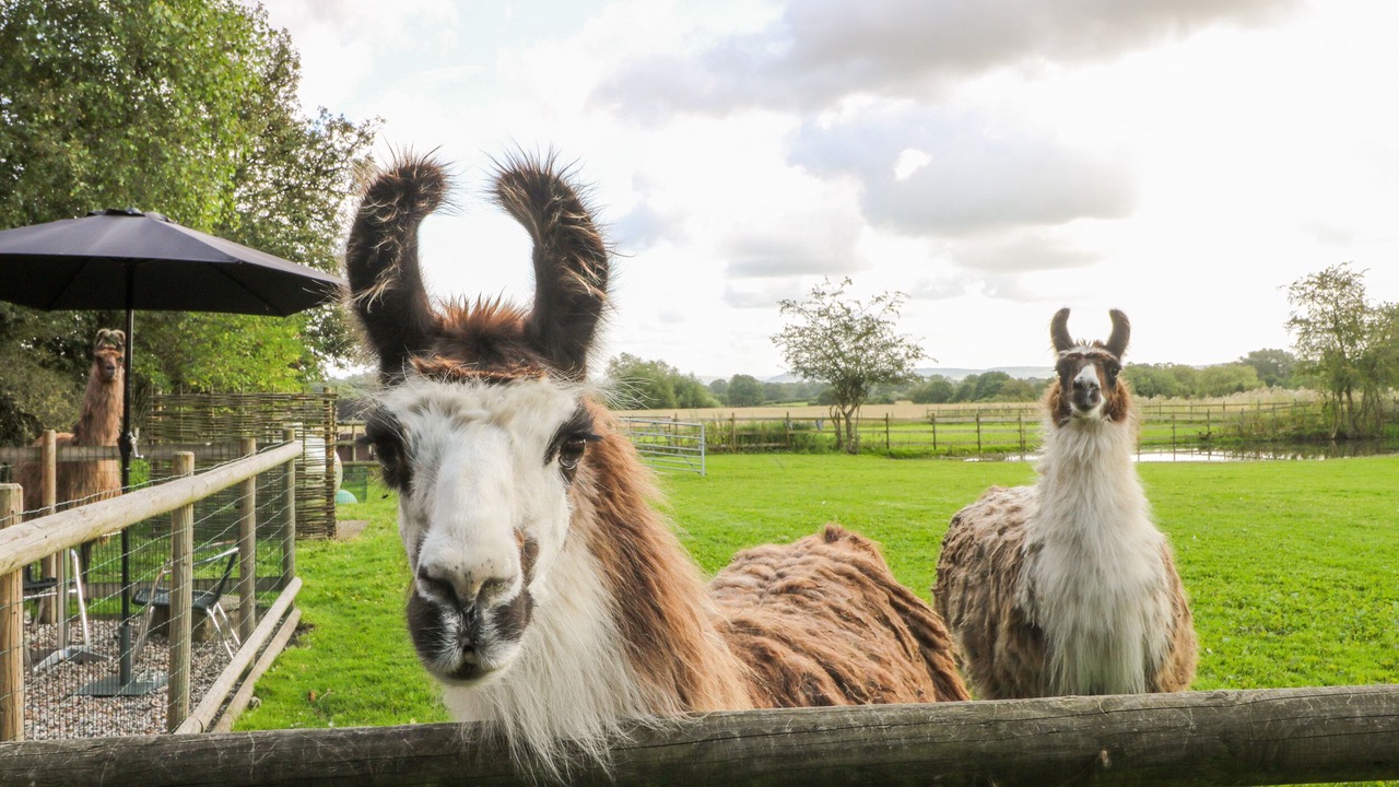 Photo of Others in Sandbach