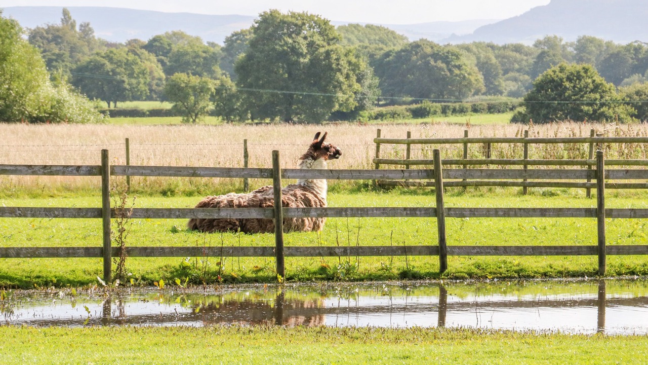 Photo of Others in Sandbach