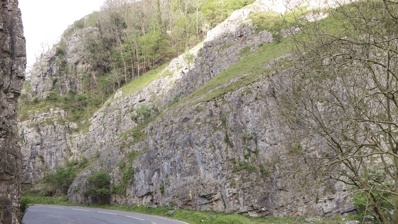 Photo of Others in Westbury-sub-Mendip