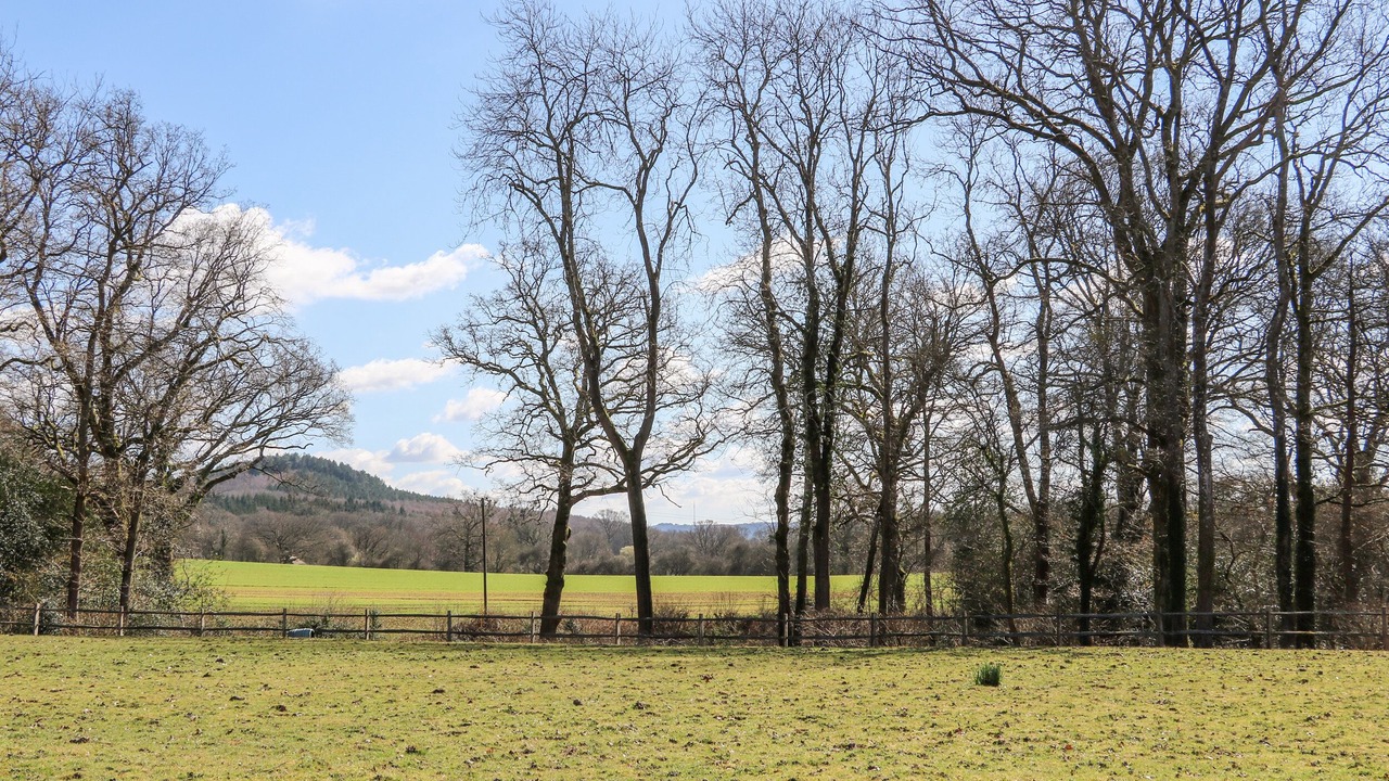 Photo of Others in Haslemere