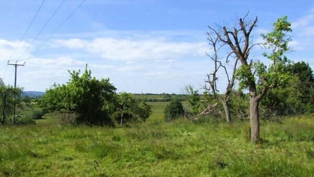 Photo of Others in Blaisdon