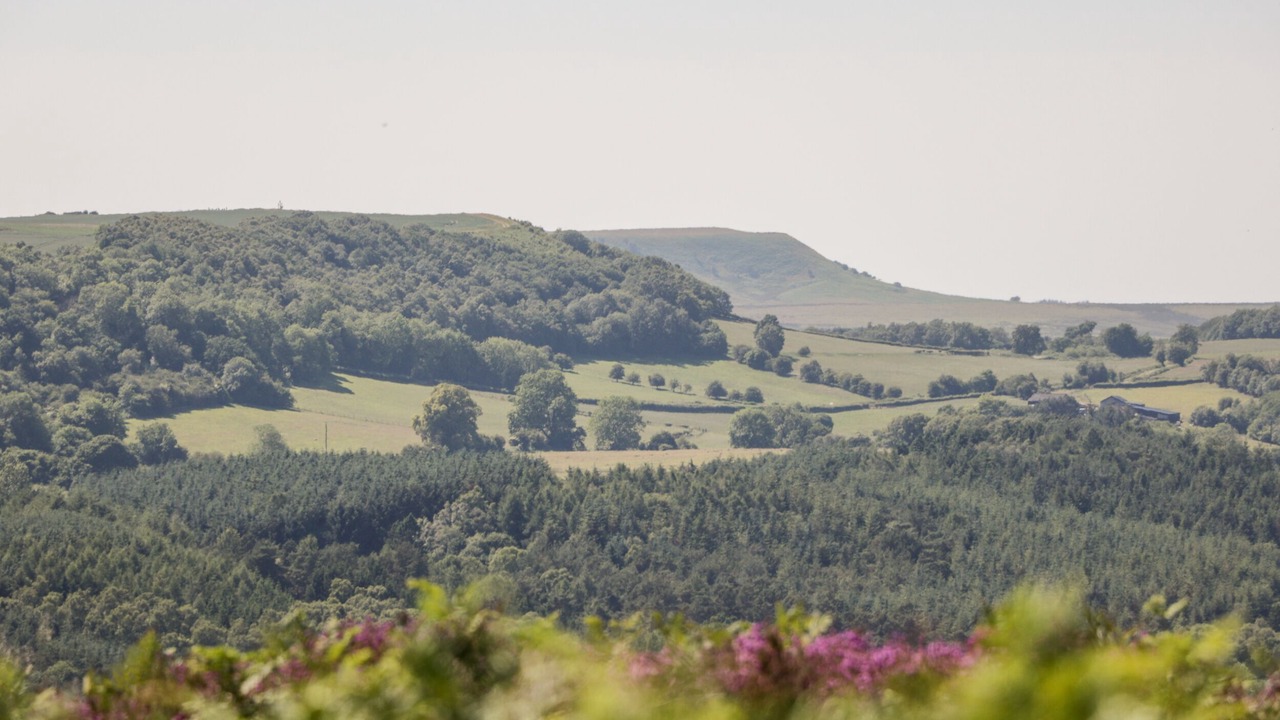 Photo of Others in Scawton