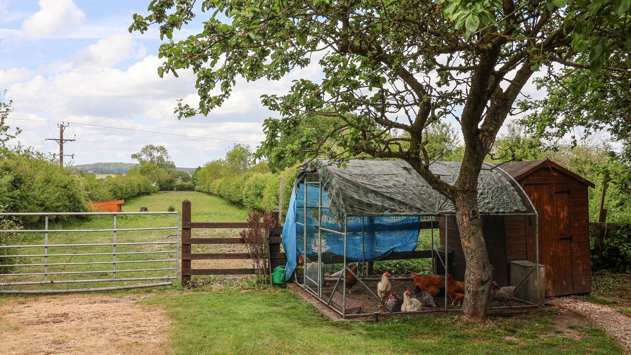 Photo of Others in Scawton