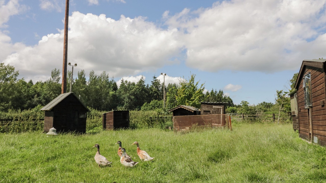 Photo of Others in Acton Scott