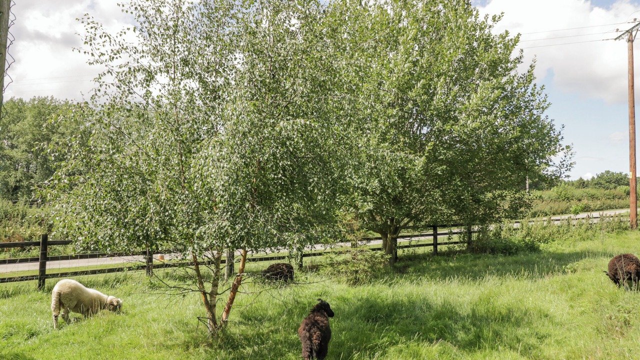 Photo of Others in Acton Scott