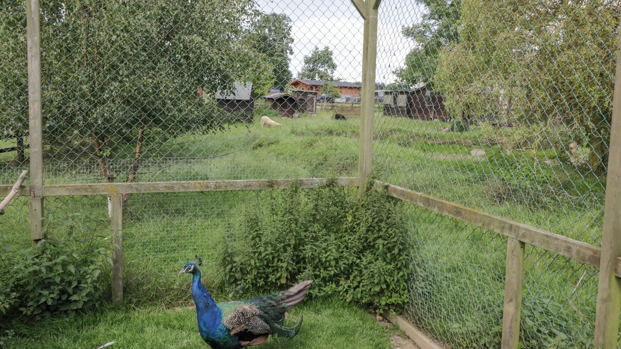 Photo of Others in Acton Scott