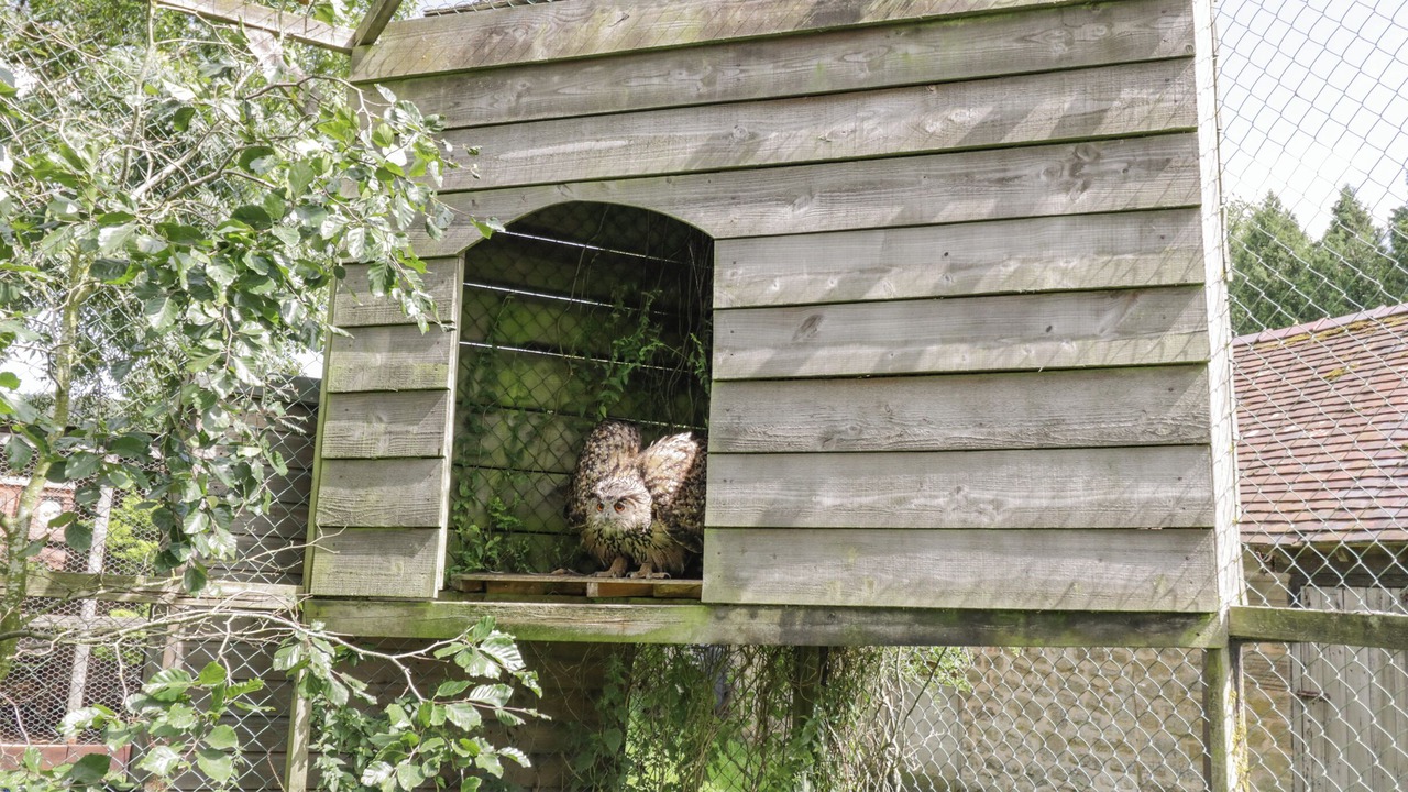 Photo of Others in Acton Scott