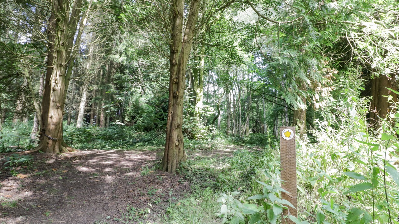 Photo of Others in Acton Scott