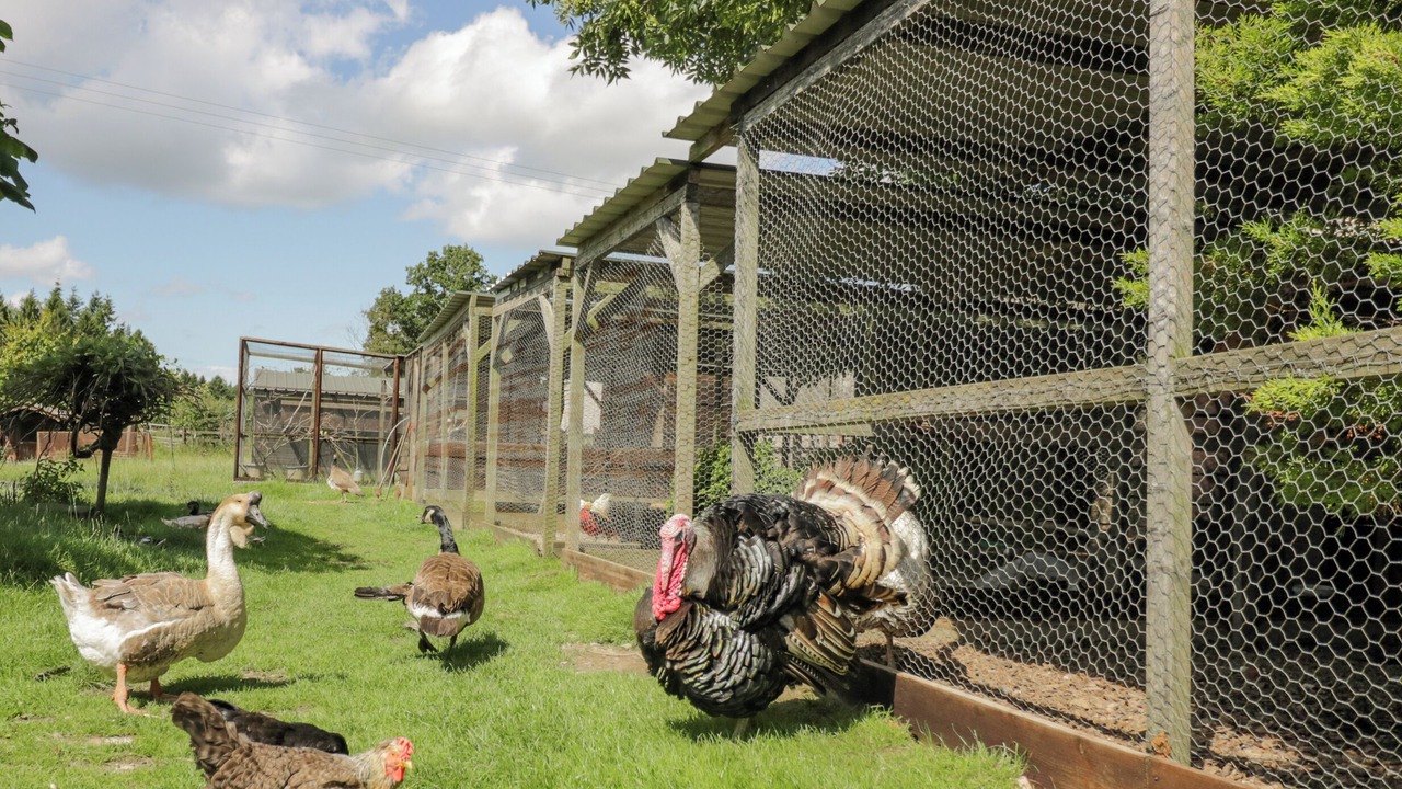 Photo of Others in Acton Scott