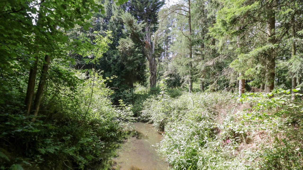 Photo of Others in Acton Scott