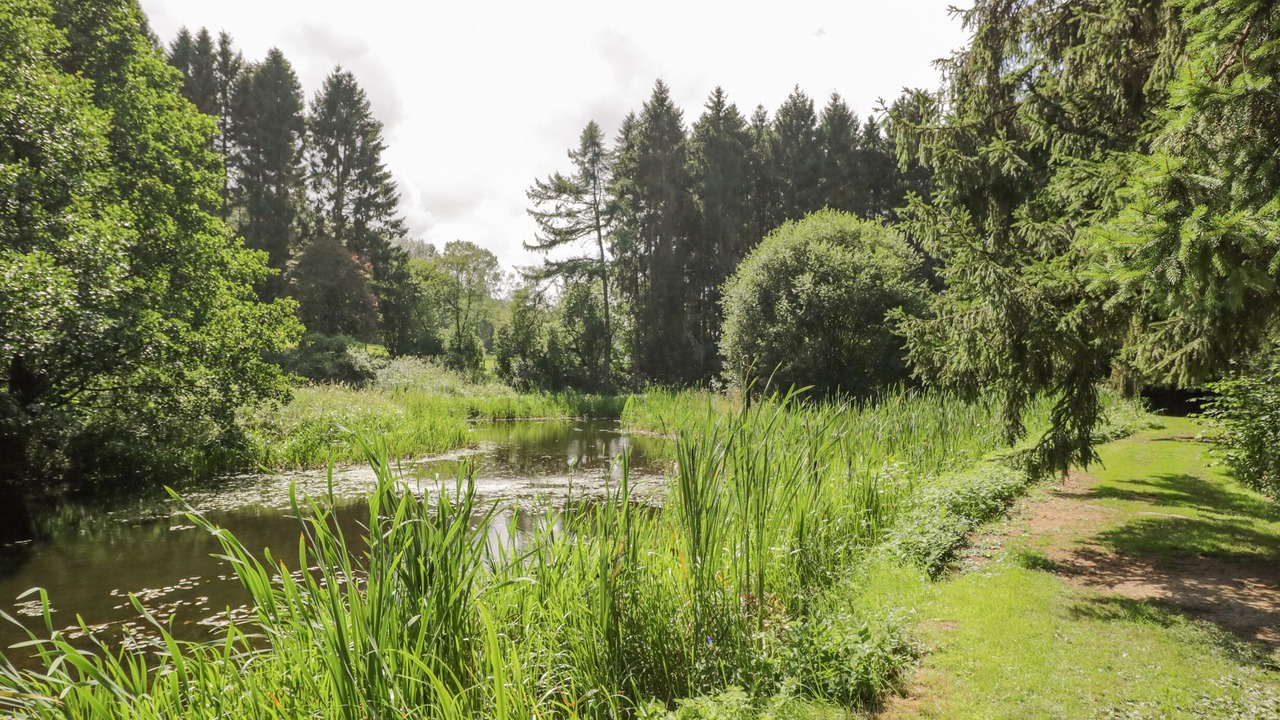 Photo of Others in Acton Scott