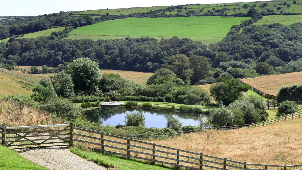 Photo of Others in Saint Breward