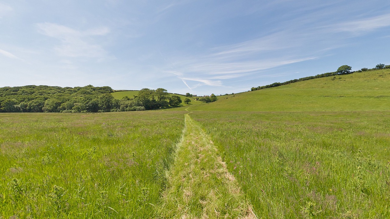 Photo of Others in Saint Breward