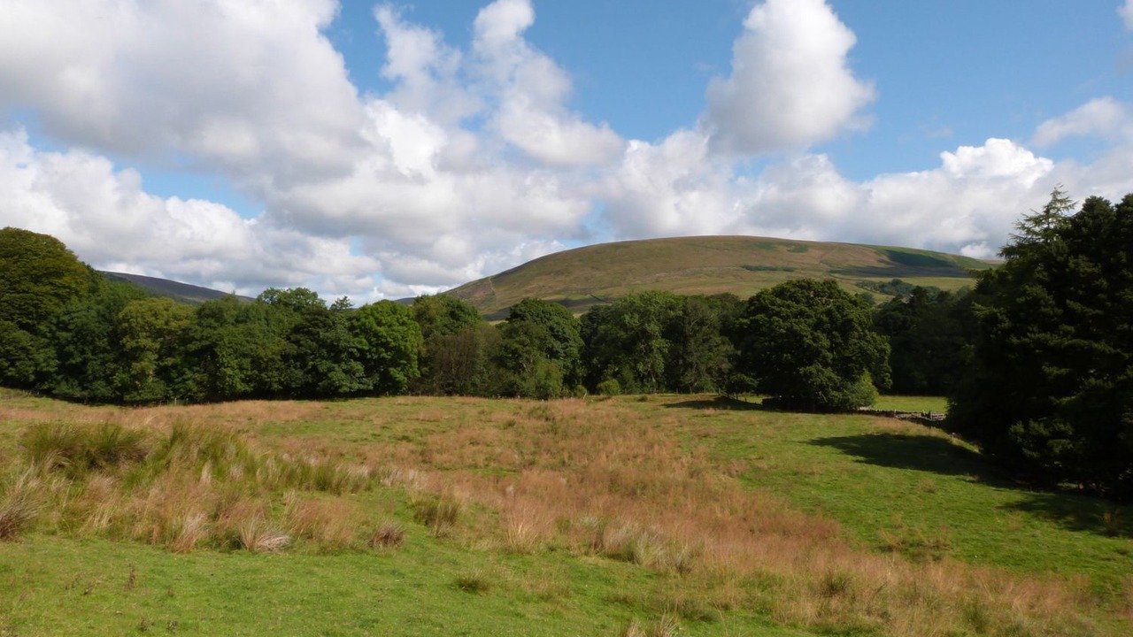 Photo of Others in Blackburn