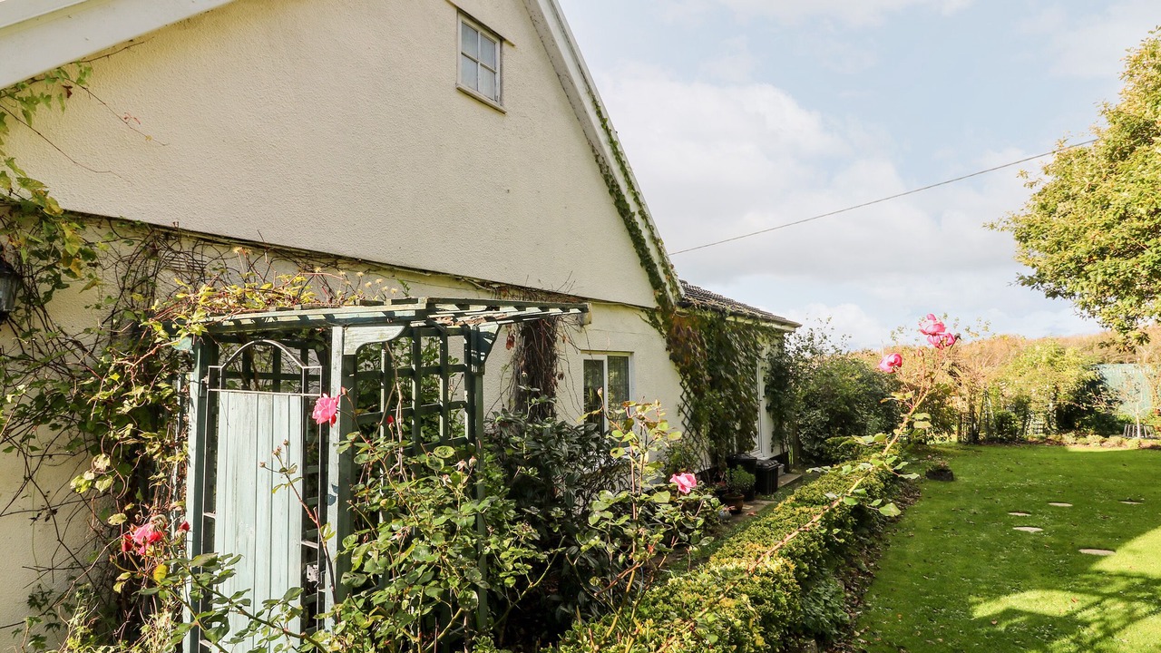 Photo of Others in Stibb