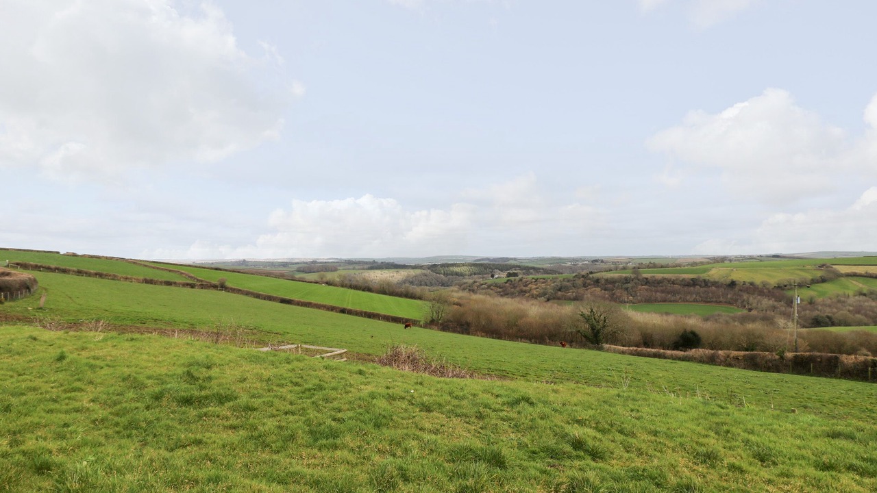 Photo of Others in Par