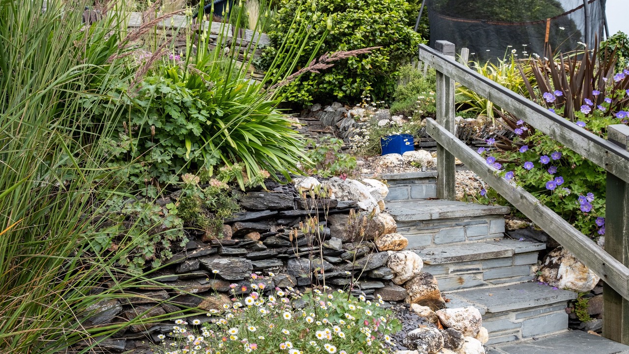 Photo of Others in Boscastle