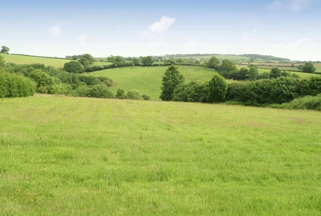 Photo of Others in Liskeard