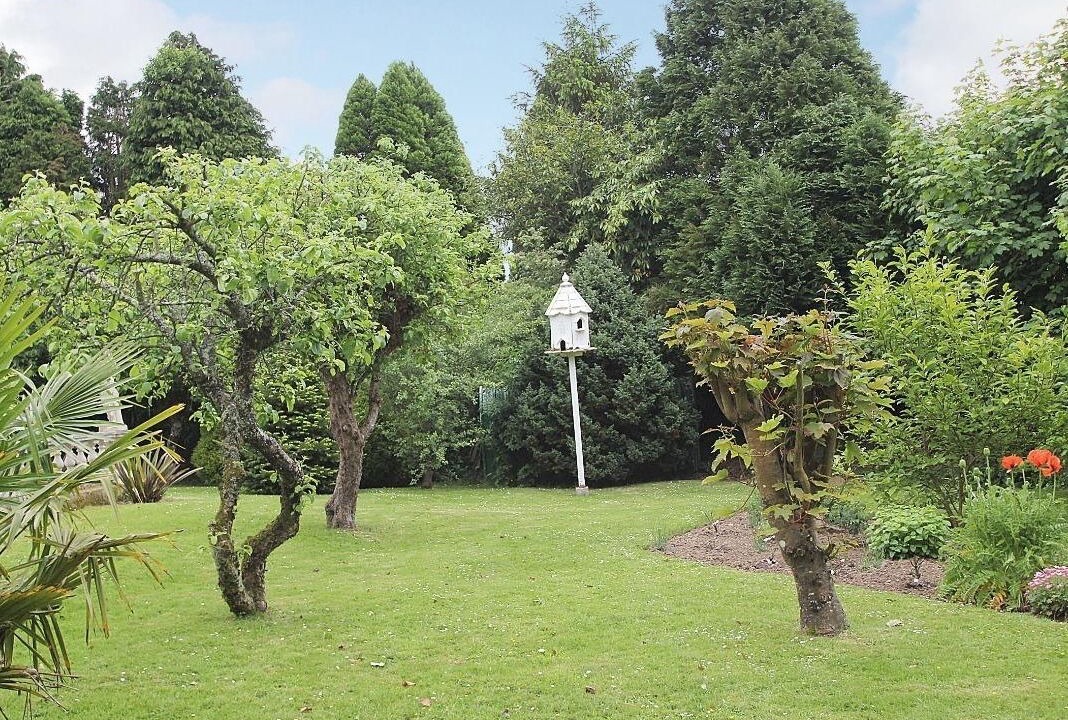 Photo of Others in Liskeard