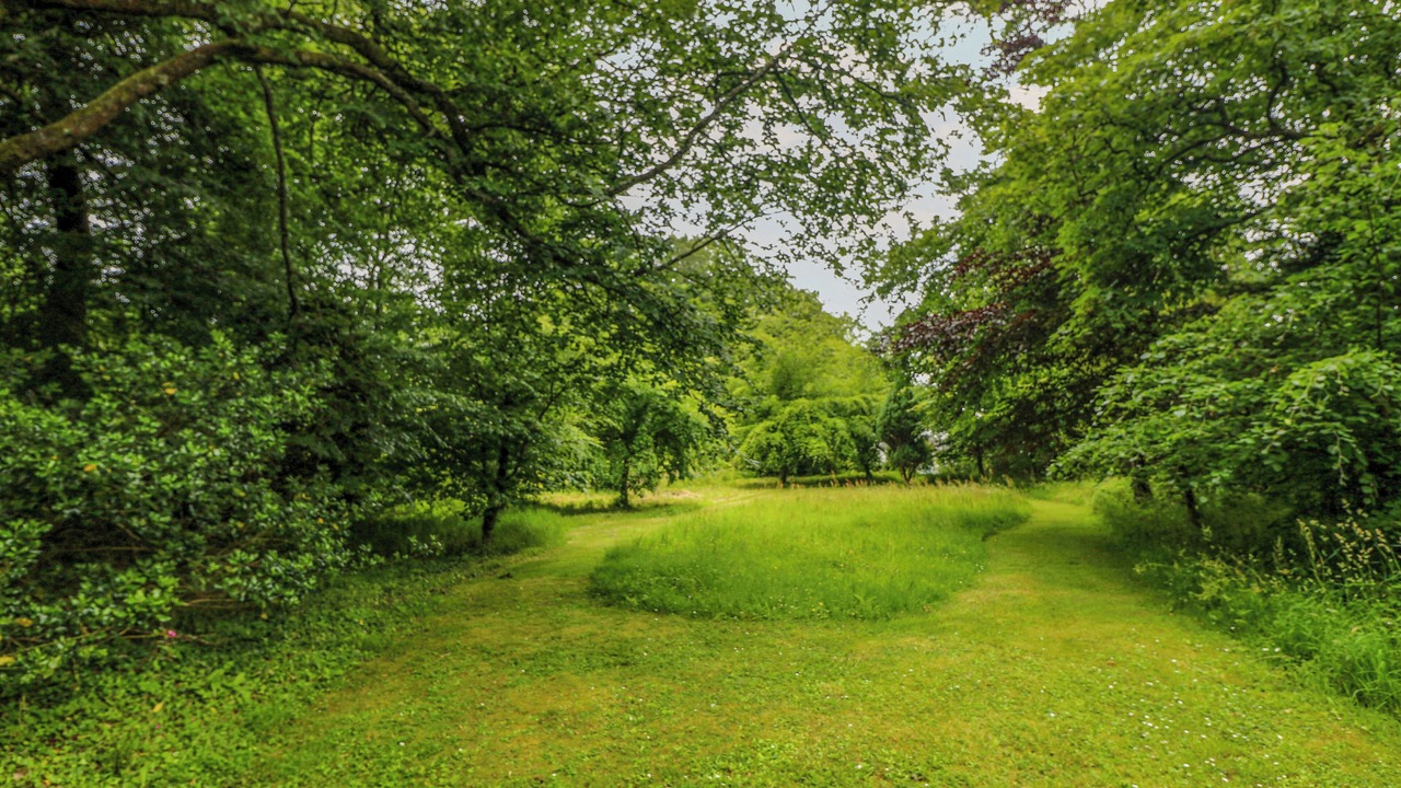 Photo of Others in Falmouth