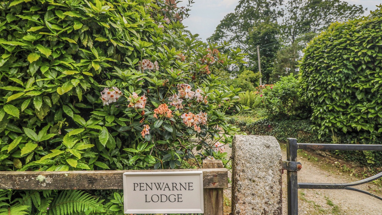 Photo of Outdoor in Falmouth