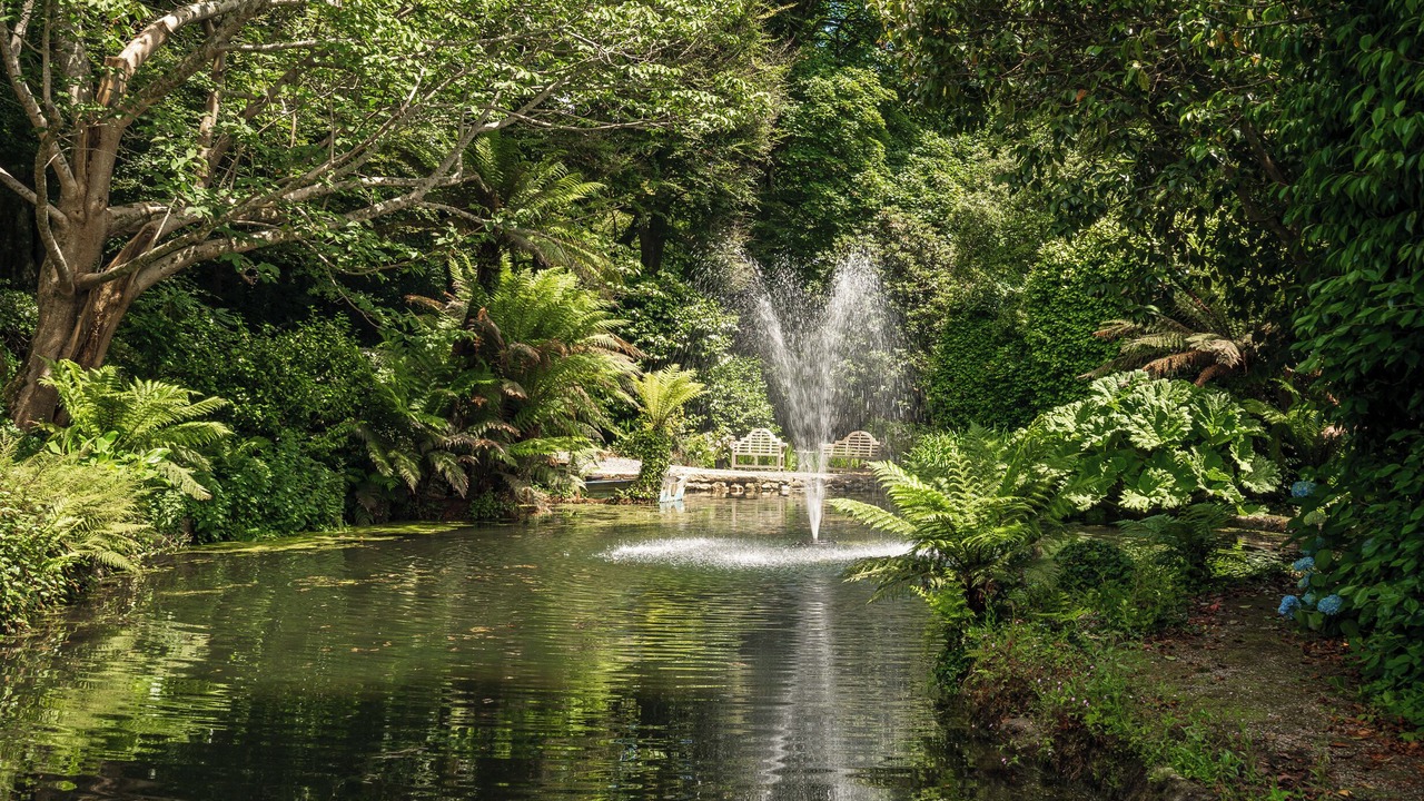 Photo of Outdoor in Falmouth