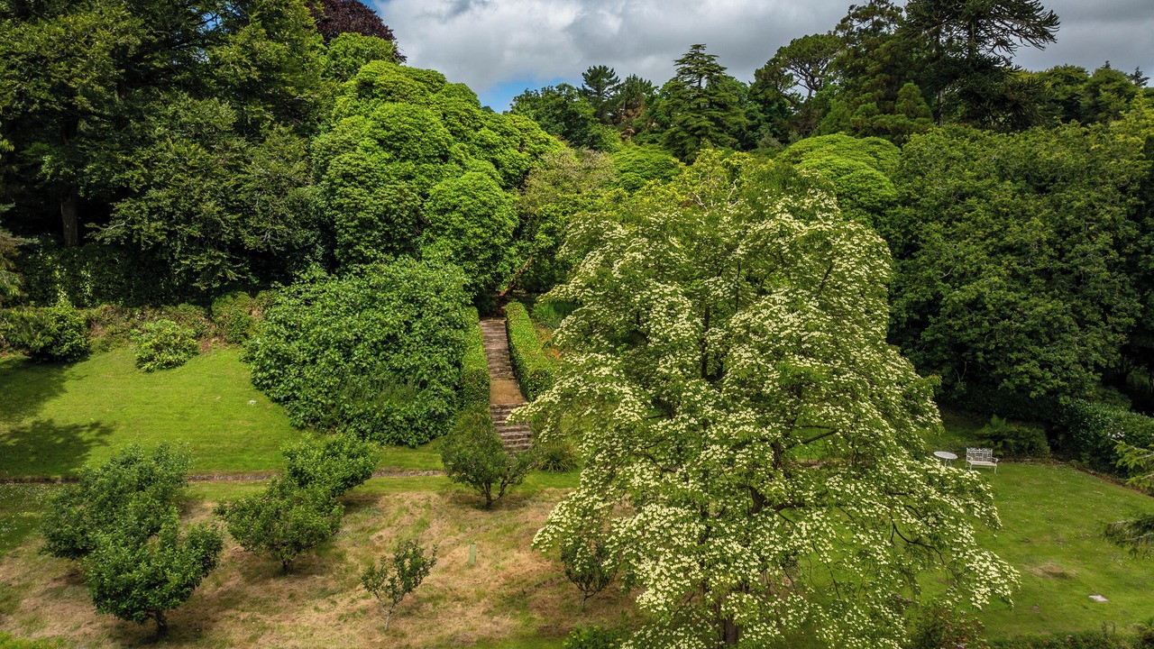 Photo of Others in Falmouth