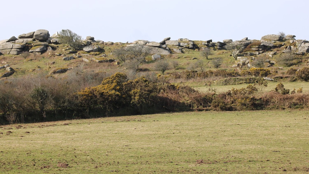 Photo of Others in St. Neot