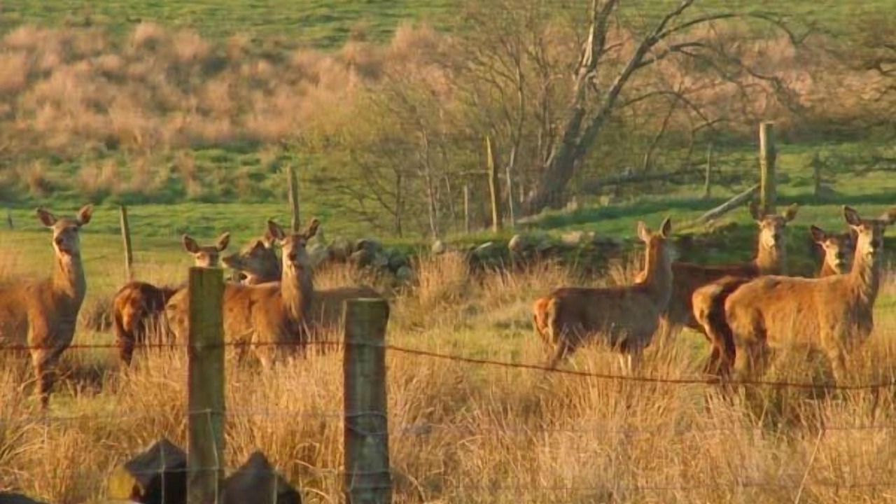 Photo of Others in Longnor