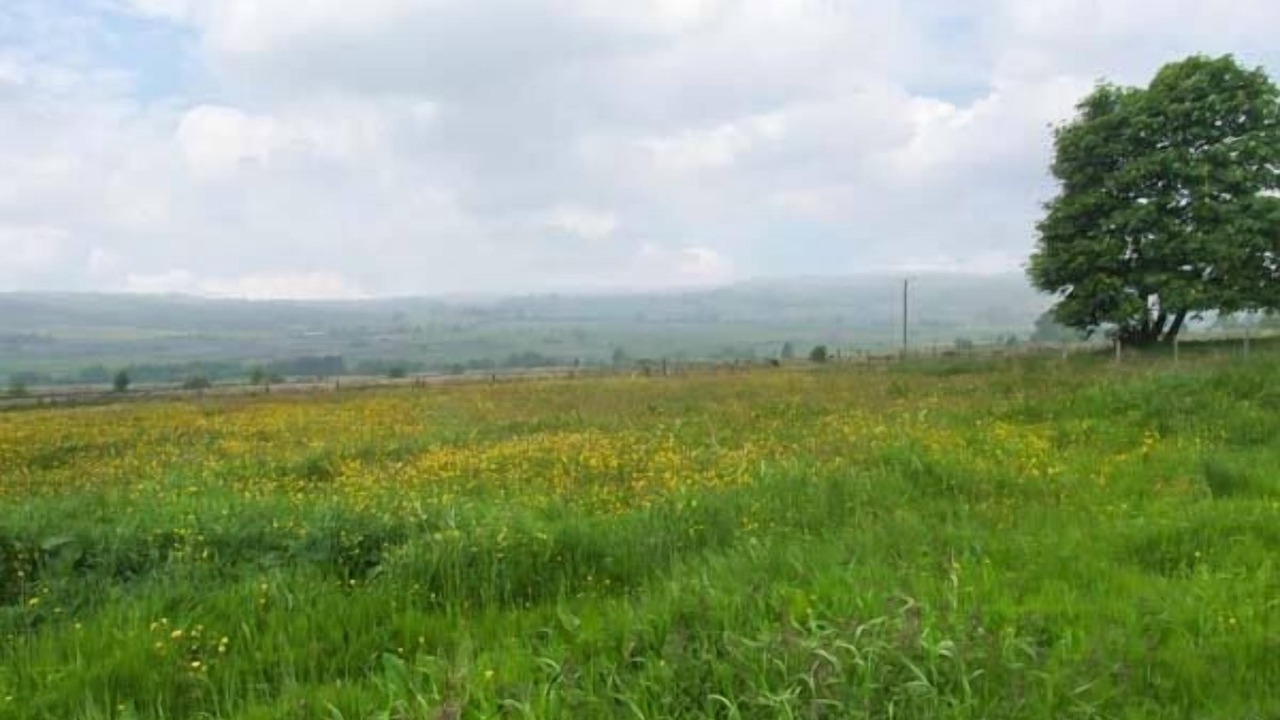 Photo of Others in Longnor