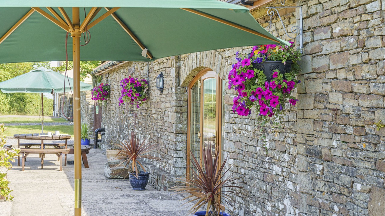 Photo of Others in Llanrhidian Higher