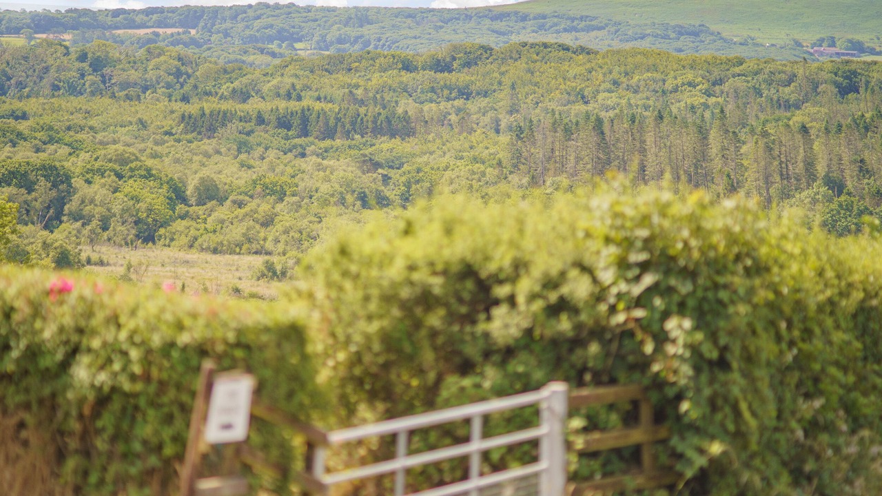 Photo of Others in Llanrhidian Higher