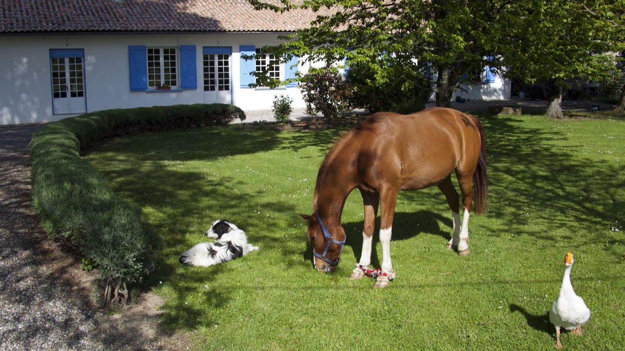 Photo of Outdoor in Lorp-Sentaraille