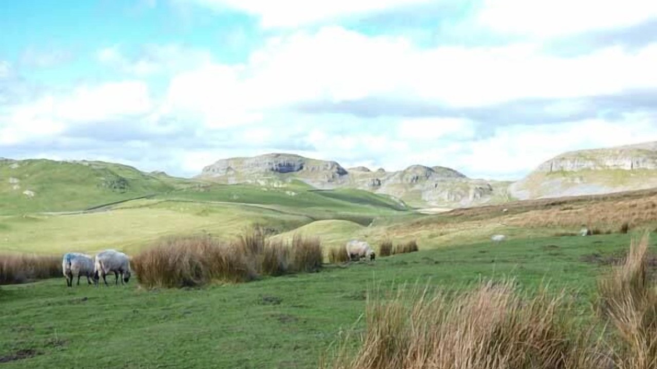 Photo of Others in Gargrave