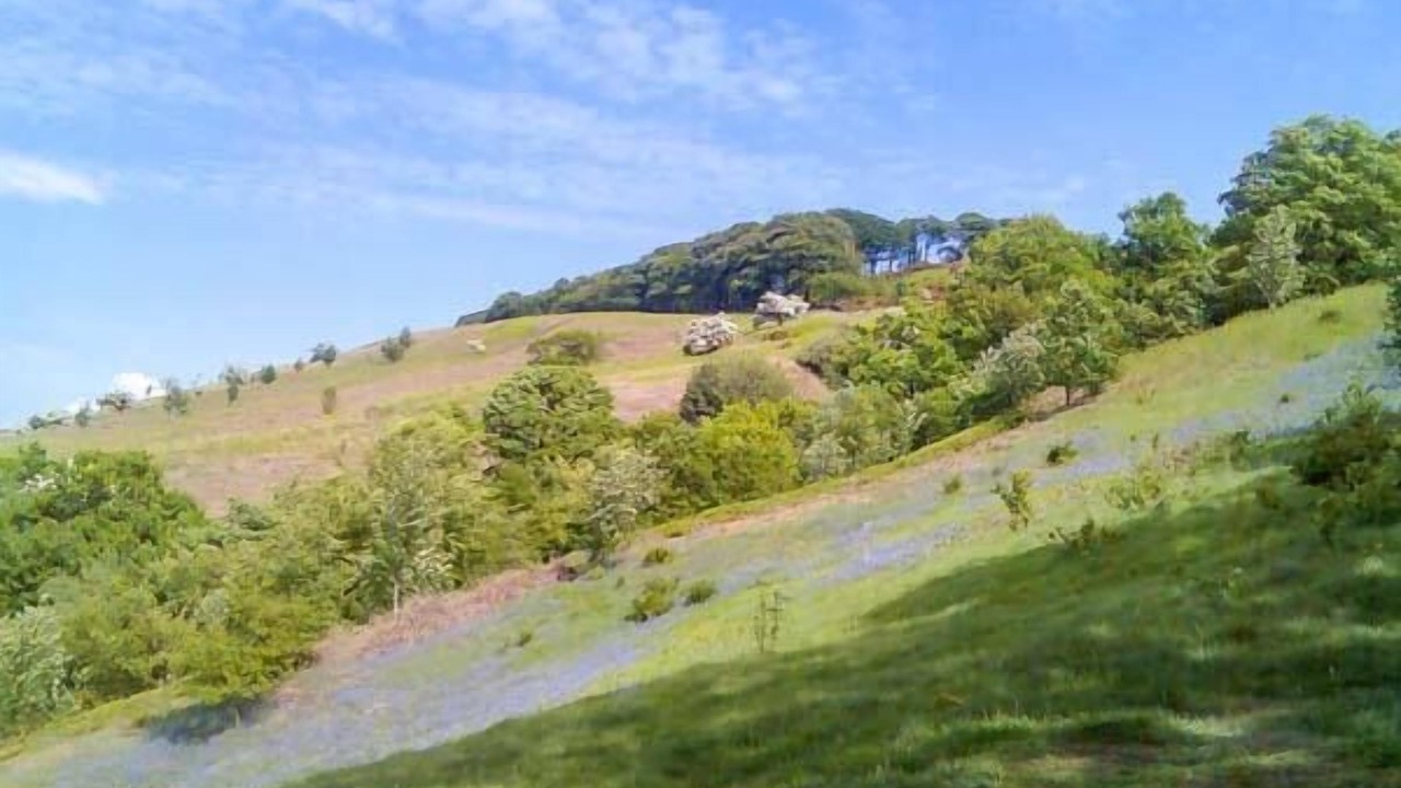 Photo of Others in Gargrave