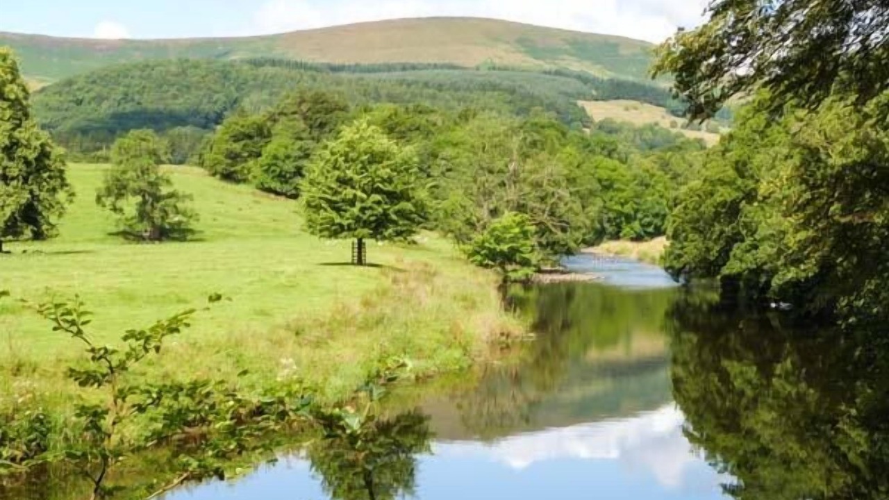 Photo of Others in Gargrave