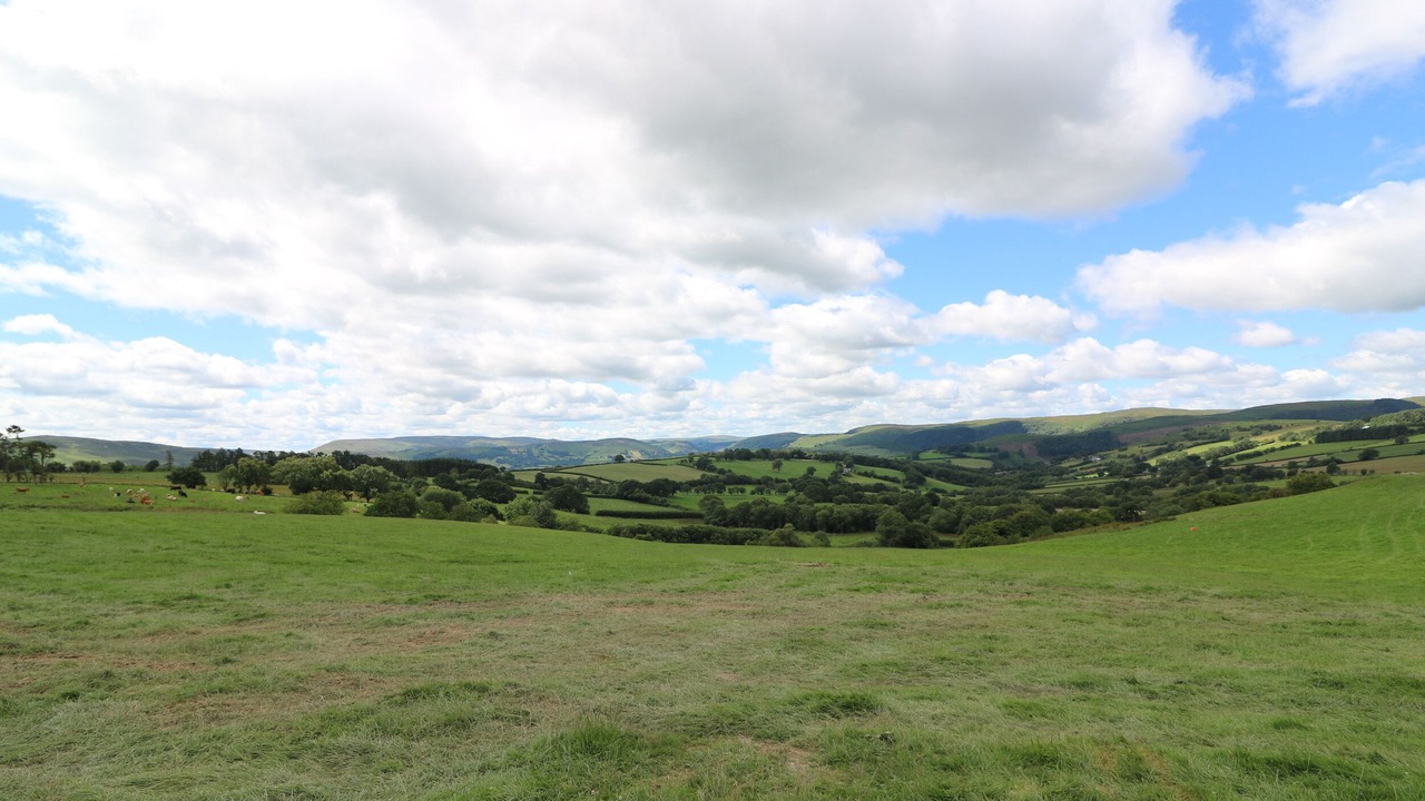 Photo of Others in Rhayader